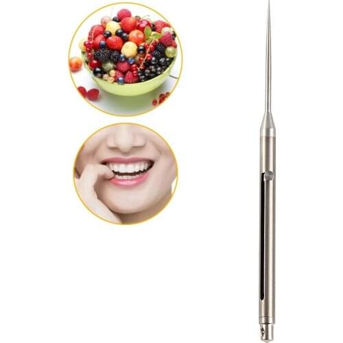 Ultralight Titanium Alloy Toothpick With Holder Portable Multifunctional Fruit Fork Rustproof Survival EDC Tools