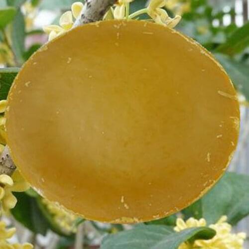 Natural pure sweet scented osmanthus wax 1kg/bag