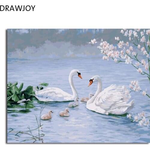 DRAWJOY Framed Picture Painting & Calligraphy Of Animals Swan DIY Painting By Numbers Coloring By Numbers
