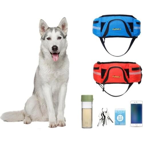 Portable Adjustable Waist Bag Outdoor Sport Running Training Travel Dog Waist Bag