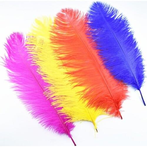 10Pcs/Lot Ostrich Feathers for Crafts 45-50CM White Ostrich Feather Craft Feathers for Clothes Wedding Decorations Feathers Top