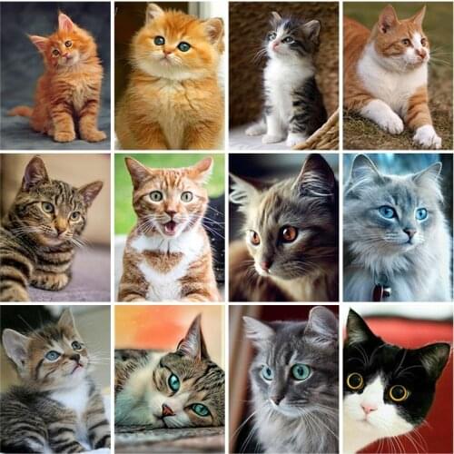 DIY 5D Diamond Painting Animals Embroidery Cat Cross Stitch Kits Full Square Drill Mosaic Rhinestone Wall Art Gift Home Decor