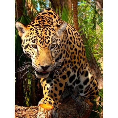 Full Square Diamond Painting Leopard Animals Diamond Embroidery Cross Stitch Rhinestone Mosaic Home Decoration