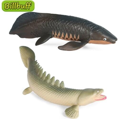 Simulation Marine Life PVC Solid Lungfish Model Action Figures Collection Miniature Cognition Educational Toys for Children Gift