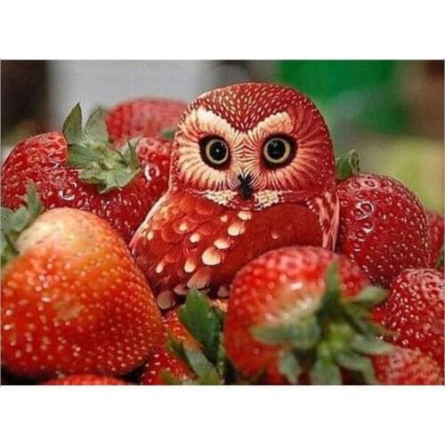 Strawberry Owls - Diamond embroidery mosaic full & square magic diamond cross stitch crystal diamond sets picture of rhinestones