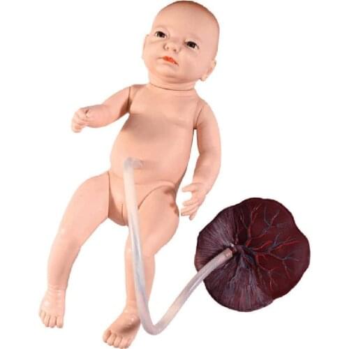 Advanced Neonatal Umbilical Cord Nursing Mode Female Neonatal Fetal Care Practice Training Mode Research Teaching Mode
