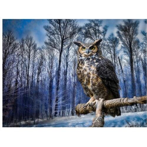 Forest Embroidery Mosaic Craft Scenery Tree Owl Diamond Painting Kit Bead Picture Wall Paper Rhinestones Draw Christmas Gift New