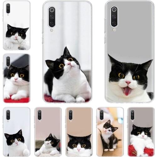 Domestic Cute Black And White Short Hair Cat Phone Case For Xiaomi Note Mi 11 8 9 9T 10 10T Ultra CC9 A1 A2 A3 F1 F2 F3 Lite Pr