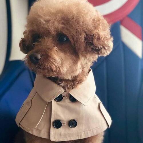 Teddy Bichon Corgi French Fighting British Wind Bandage Selling Cute Saliva Towel Dog Bib Dog Windbreaker Cloak