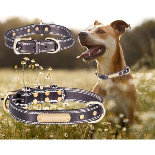 Top Layer Cowhide Collar Bright lettering Labrador Multi-ring Fasteners Adjustable Collars Suitable For Medium And Large Dogs