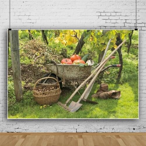 Autumn Farm Harvest Pumpkin Cart Scene Baby Portrait Backdrop Vinyl Photography Background For Photo Studio Photophone Photozone