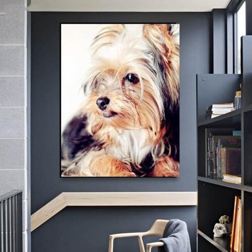 Diy Handwork 5d Diamond Painting Shih Tzu dog picture of Rhinestones Full 3d Diamond Embroidery Sale Diamond Mosaic Decor TY127