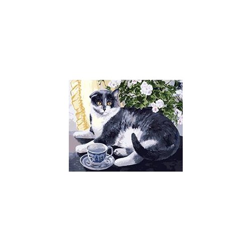 MaHuaf-W146 old cat DIY oil painting by numbers on canvas hand painted wall art picture for living room