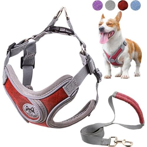Dog Harness And Leash Set Pet Correa Perro Arnes Szelki Dla Psa Smycz Mediano Para Cat Grande Reflective Hands Free Chest Vest
