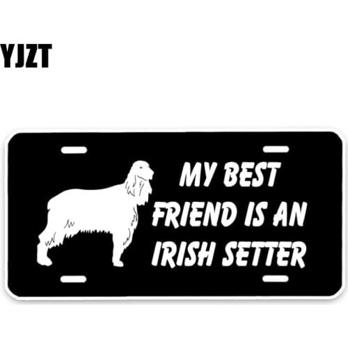 YJZT 15*7.3CM My Best Friend Is A Irish Setter Dog Car Bumper Window Waterproof PVC Sticker Decal C1-4666