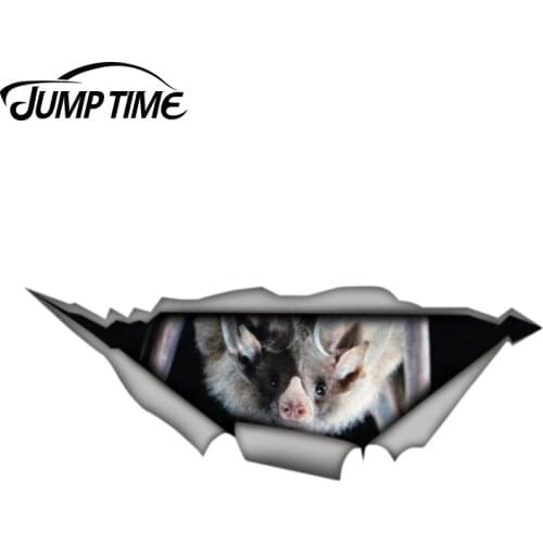 Jump Time 13cm x 4.8cm Bat car sticker 3D Pet Graphic Vinyl Decal Car Window Laptop Bumper Animal Car Stickers