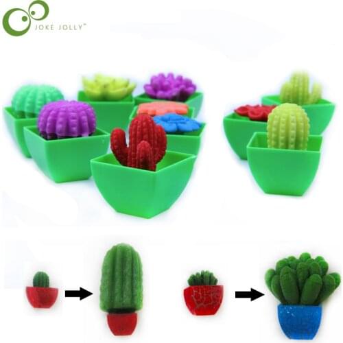2pcs Growing In Water Flower Cactuse Bonsai Expansion Plant Toy Magic Toys for Children The Cactus Can Grow Toys GYH