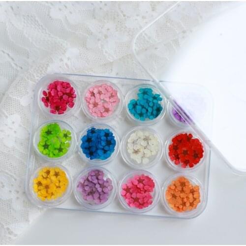 36/120/240Pcs 12 color natural real dried flowers Nail Art Decals Leaf Dry Plant creative nail material nail art flowers