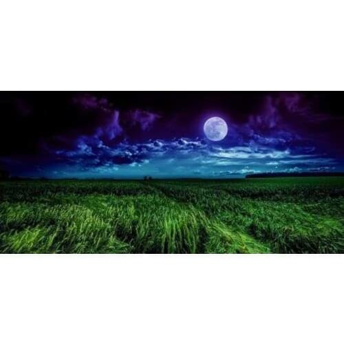 GLymg 5D DIY Diamond Painting Craft Moon Landscape Rhinestones Embroidery Mosaic Gift Diamond Embroidery Diamond Wall Arts Decor