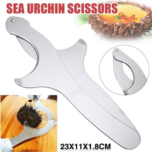Stainless Steel Sea Urchin Opener Scissors Echinus Tongs Chestnut Open Cutter Durable Sea Food Shell Breaker Kitchen Tool
