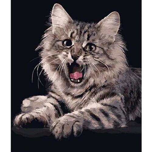 Cat patterns Volledige vierkante/ronde diamant painting 5D DIY Diamond Painting Diamond picture of Mosaic animal scenery ll359