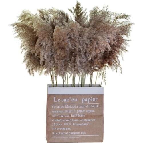 10pcs DENISFEN Natural Dried Flowers Small Pampas Dry Grass H 50cm Phragmites Decorative Plants Wedding Bouquet Bunch Home Decor