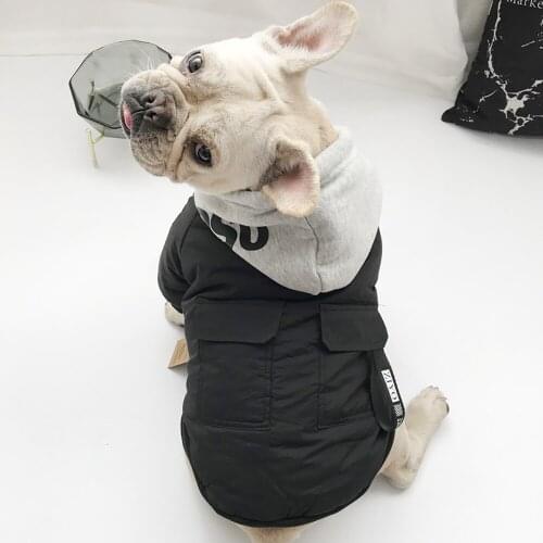 Winter Windproof Letter Dog Hoodies Pet Clothes Stylish Cotton Sweatshirt Fashion Outfit For Dogs Cats Puppy Small Medium Suit