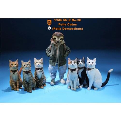 Mr.Z 1/6 Scale Felis Catus No. 036 Domestic cat orange cat simulation cat simulation animal model static decoration mode play