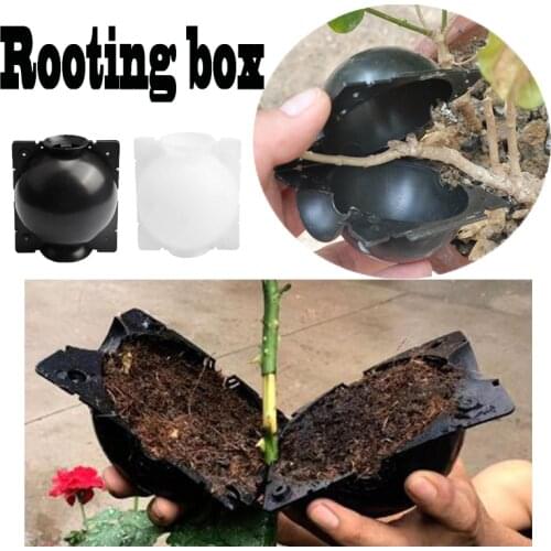 5pcs Plant Rooting Ball Grafting Rooting Growing Box Breeding Case Plant Root Growing Box for Garden 5/8cm In Diameter