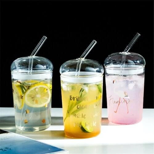 Glass Sippy Cup Transparent Straw Cup with Lid Home 500ml Coffee Tea Milk Juice Bottle Student Portable Water Mugs Drinkware