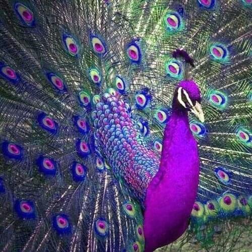 GATYZTORY 5D Diamond Painting Full Square Mosaic Wall Sticker DIY Diamond Embroidery Home Decor Custom Photo Purple Bird