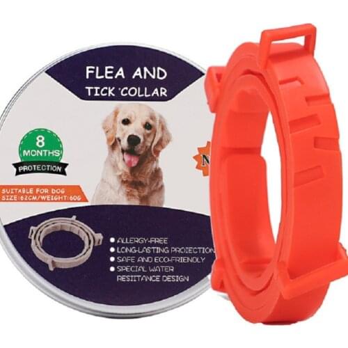 Removes Flea And Tick Collar for Dogs Cats Up To 8 Month Flea Tick Collar Anti-mosquito & Insect Repellent Breakaway Cat Collar