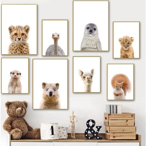 Cheetah Hamster Seal Ostrich Lion Alpaca Wall Art Canvas Painting Nordic Posters And Prints Wall Pictures For Kids Room Decor
