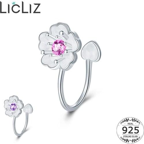 LicLiz Clips