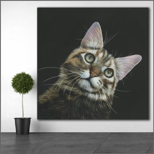 Printing Oil Cats Painting Art Black background Head Whiskers art canvas prints pictures for living room and bedroom No Frame