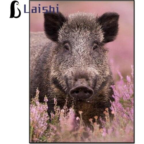 Diy Diamond Embroidery Wild Boar Forset Animals full Diamond Painting Mosaic Cross Stitch Crystal Diamond Pig Decorative Art