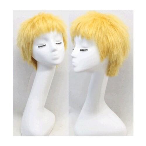 One Piece Donquixote Doflamingo Cosplay Wig
