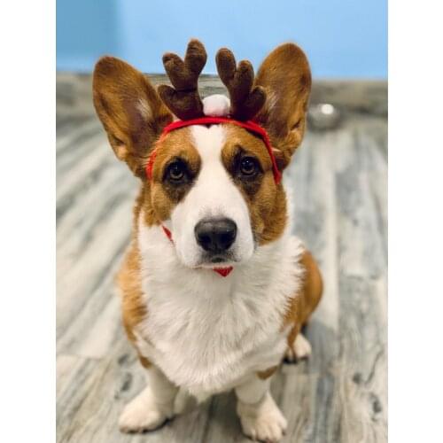 Cute Cat Christmas Dog Headbands Antlers Pet Supplies Dog Deer Headband Decoration Teddy Dogs Antlers Animal Gentleman Headdress