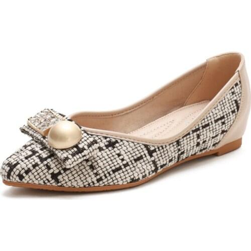 Female Single Shoes Non Slip Ladies Flats Spring Autumn 2021 Fashion New Pointed Toe Soft Bottom Leisure Women Simple Work Shoes