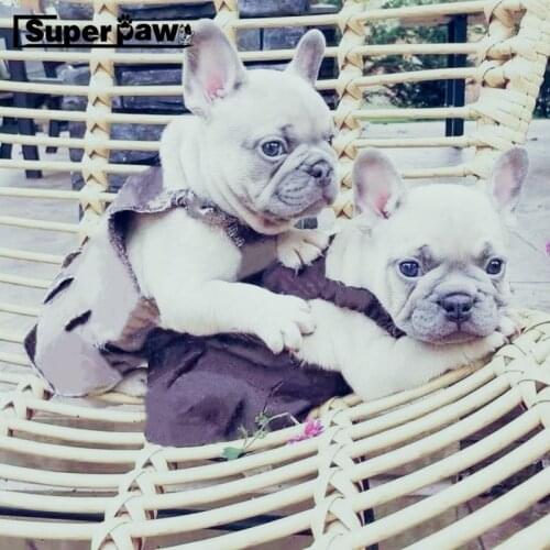 New Pet Dog Princess Skirt Dress Clothes For Small Medium Dogs Chihuahua French Bulldog Yorkie Pug Clothing Dropshipping ZLC33