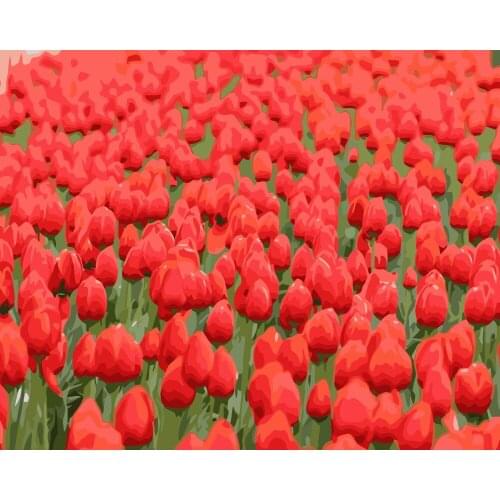 MaHuaf-i153 Frameless flowers wall art Picture Painting By Numbers on canvas gift paint by numbers sea of red tulips