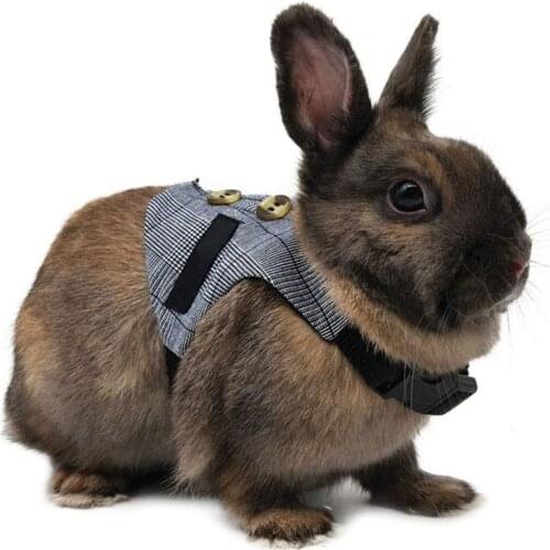 Multipurpose Rabbit Harness Small Pet Leash Chinchillas Guinea Pig Vest Clothes