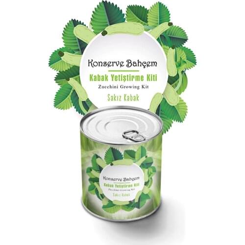 Canned Zucchini Growing Kit at Home - Start Gardening with Courgette, Strawberries and More - Simple and Fast Results