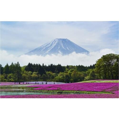 Colorful print Wall Tapestry Mount Fuji, Japan M12