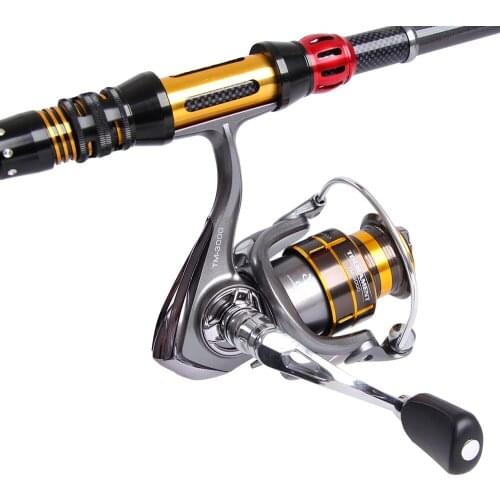 WPE TM Spinning Fishing Reel 10+1 Ball Bearings with Max Drag Power 8 KG 5.1:1 3000 4000 5000 6000 Carp Fishing Reel