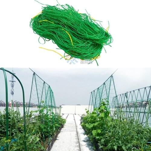 2020 Newly Strengthen Vegetable Plants Climbing Net Nylon Garden Holder Growth Network Morning Loofah Glory Flower Vine Netting