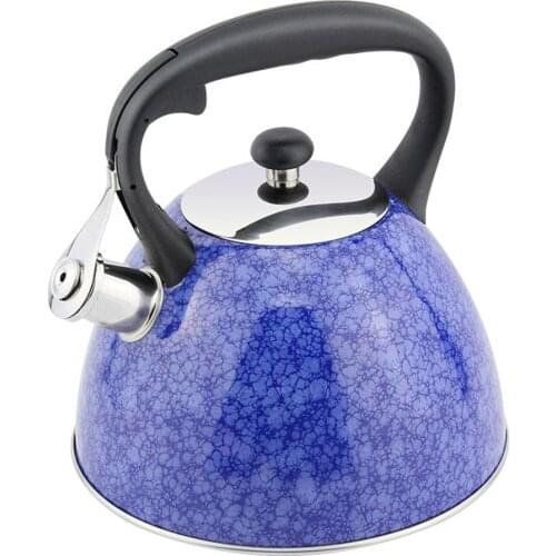 Hausroland Whistling Kettle Color Thread for All Stovetop Stainless Steel Teapot 3.0L 739C