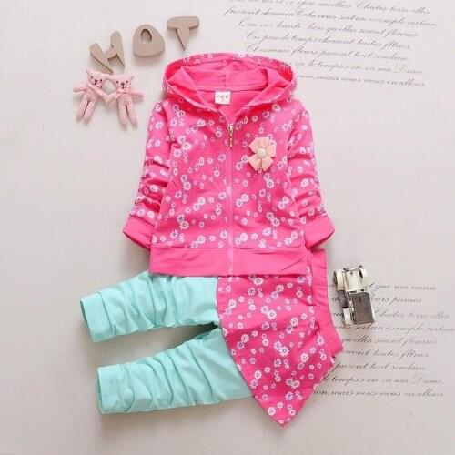 Spring Autumn Baby Girl Clothes 2pcs Toddler Girl Clothes Long Sleeve Fashion Cartoon Clothes Kids Clothes Girls Floral Skirt