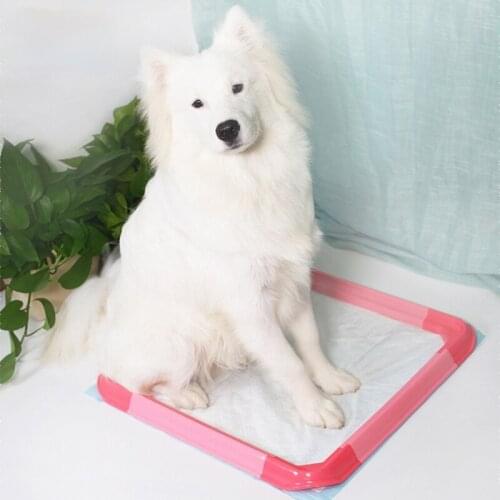 Assemble Toilet for Small Medium-large Dogs Cats Pet Pooping Urinal Bedpan Anti-stepping Poop Cat Supplies