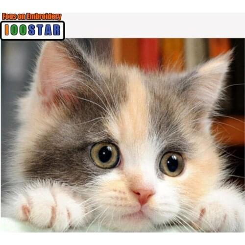 5d Diy animal diamond painting cat cross stitch kits diamond embroidery full round diamonds mosaic pictures of rhinestones